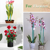 SupKing Plant Stakes,17&12 Inch Wood Plant Sticks 30 Pack Orchid Stake Sturdy Green Bamboo Plant Support Stake Gardening Floral Potted Plant Support SupKing