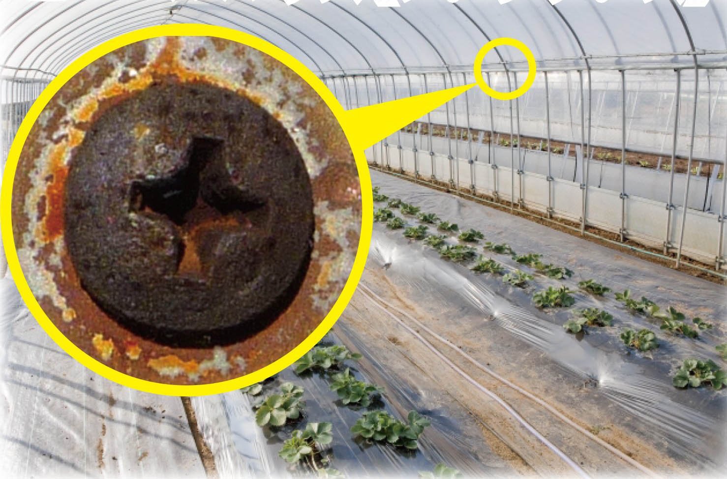 Engineer ZC-28 Rust Remover, Neji-Saurus Screw Removal Liquid 100g (Made in Japan) ENGINEER