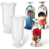 2 Pcs Lucky Bag Resin Molds Silicone Molds for Resin Casting Bag Shape Silicone Epoxy Mold 3D Jewelry Resin Casting Molds Large Resin Epoxy Casting Meanplan