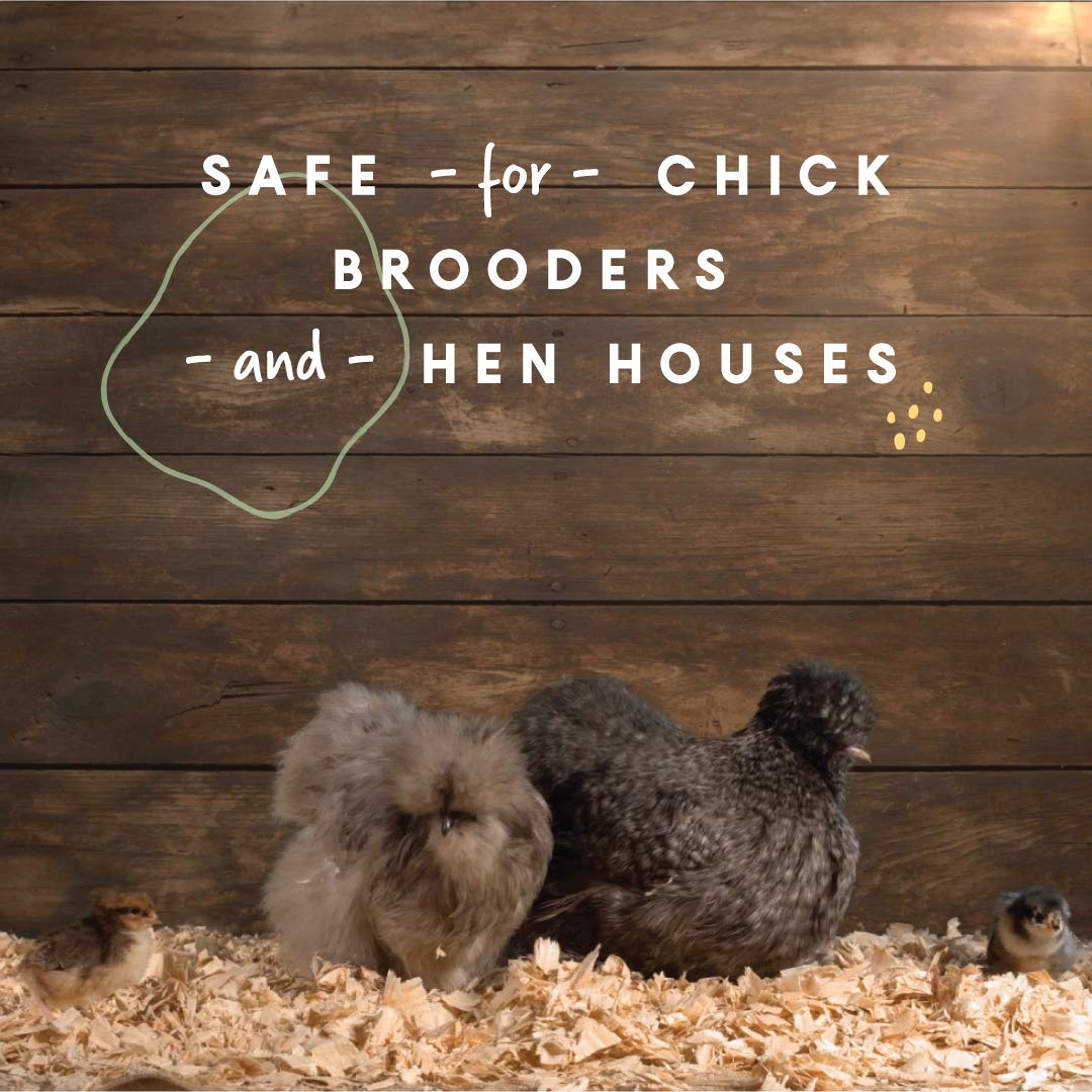 Manna Pro Fresh Flakes | Chicken Coop Bedding | Pine Shavings for Chicken Bedding | 4 Cubic Feet Manna Pro