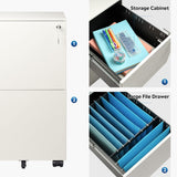 DEVAISE 2-Drawer Mobile File Cabinet with Lock, Commercial Vertical Cabinet in White DEVAISE