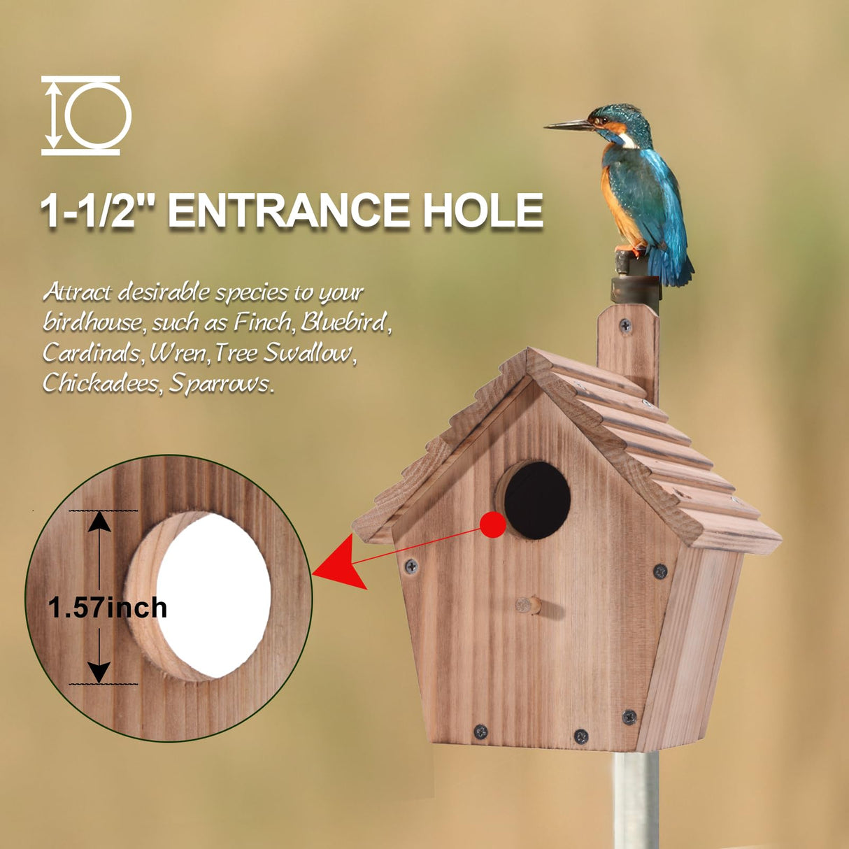 Wooden Bluebird House for Outside,Hanging Birdhouses with Pole,Outdoor Wild Bird Box House,Finch Cardinals Wren Robins Nesting Box Birdhouse for CLACKIBUKVYZ