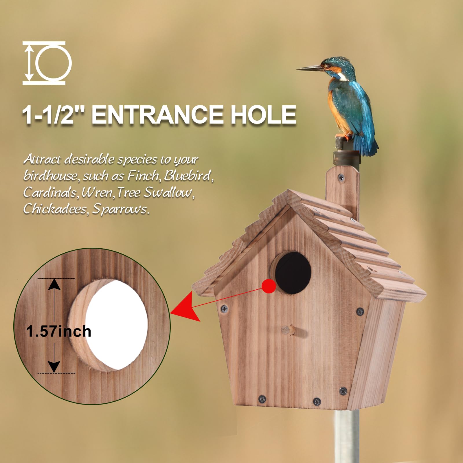 Wooden Bluebird House for Outside,Hanging Birdhouses with Pole,Outdoor Wild Bird Box House,Finch Cardinals Wren Robins Nesting Box Birdhouse for - WoodArtSupply