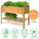 COSTWAY Raised Garden Bed, Wood Planter Box with Storage Shelf and for Vegetables, Flowers & Herbs, 2-Tier Elevated Garden Planter Bed for Backyard, COSTWAY