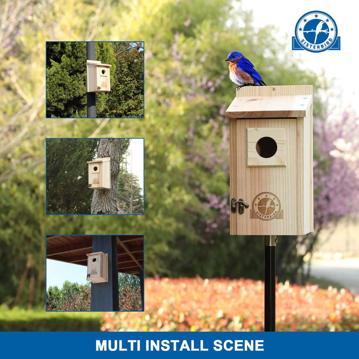 SISTERBIRD Bird Houses for Outside 1-1/2" Entrance Hole Cedar Wild BirdHouses with Wood Guard Outdoor Bluebird Wren Swallow Finch Assembly Required SISTERBIRD