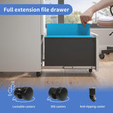 DARTIIA File Cabinet 2 Drawer with Lock No Assembly Required Lateral Office Storage Cabinet Metal Filing Cabinet for Home Office Mobile Rolling File DARTIIA