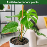 Strong Long Bamboo Plant Stakes for Indoor Plants, 12Pcs Bamboo Sticks for Plants, Plant Sticks Support Tall 18inch, Bamboo Plant Stakes, Garden VIPMORE