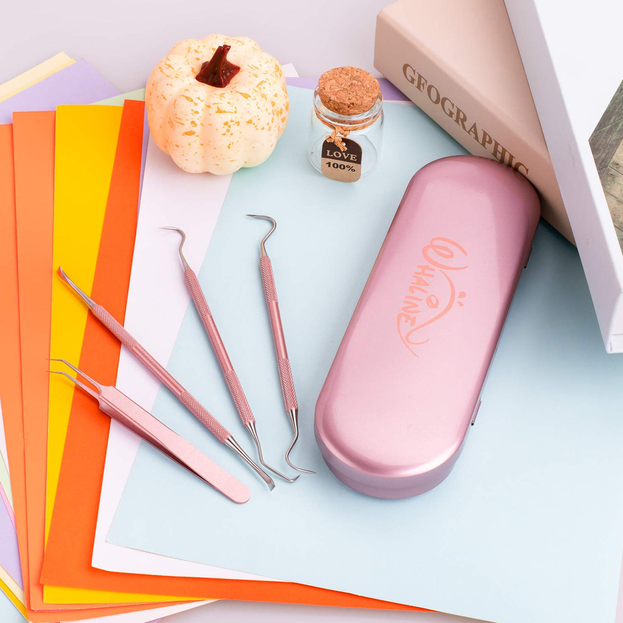 Whaline Weeding Vinyl Tools 4 Pieces Precision Stainless Steel Cricut Weeder Tool with Case, Vinyl Craft Paper Craft Tool Kit for Silhouettes Cameos, Whaline