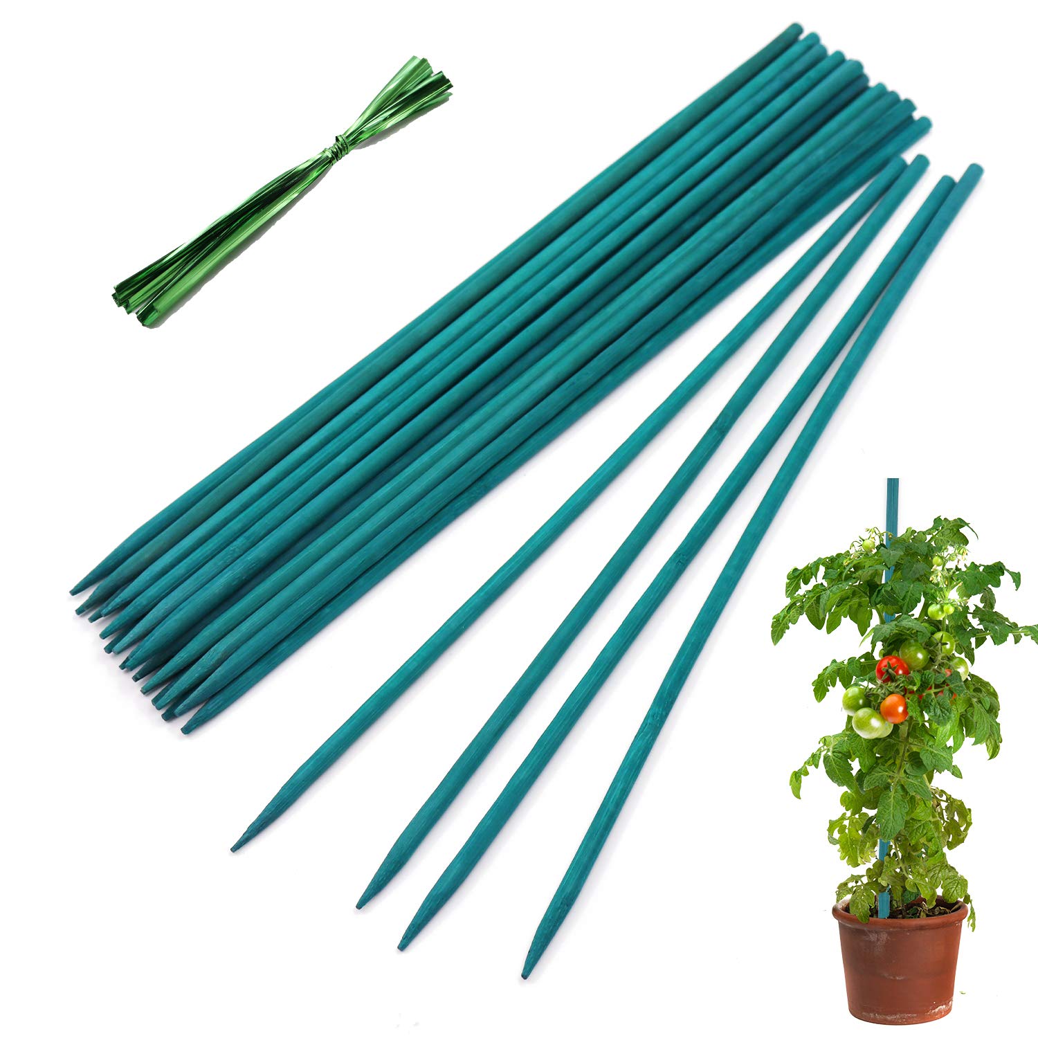 Garden Wood Plant Stakes Green Bamboo Sticks,HAINANSTRY Sturdy Floral Plant Support Stakes Wooden,Wooden Sign Posting Garden Sticks(25 Pack 18 - WoodArtSupply