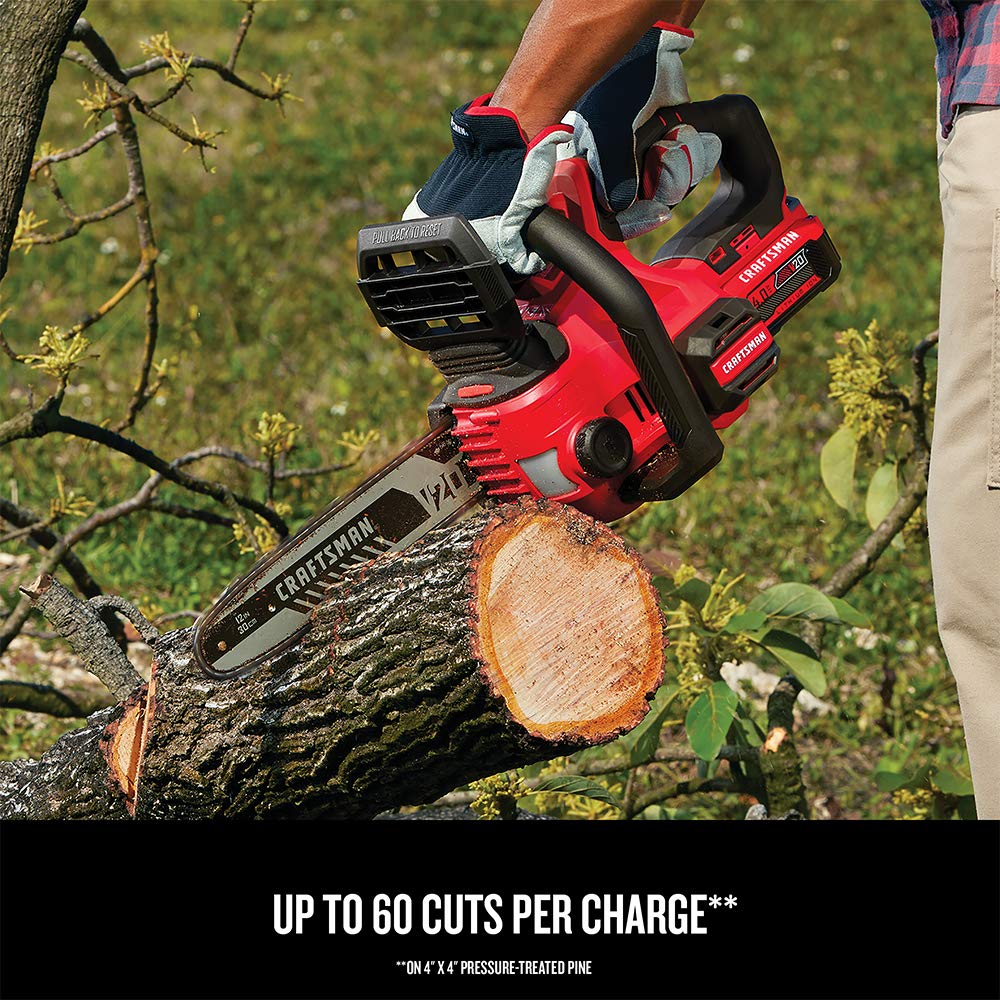 CRAFTSMAN V20* Cordless Chainsaw, 12-Inch (CMCCS620M1) - WoodArtSupply