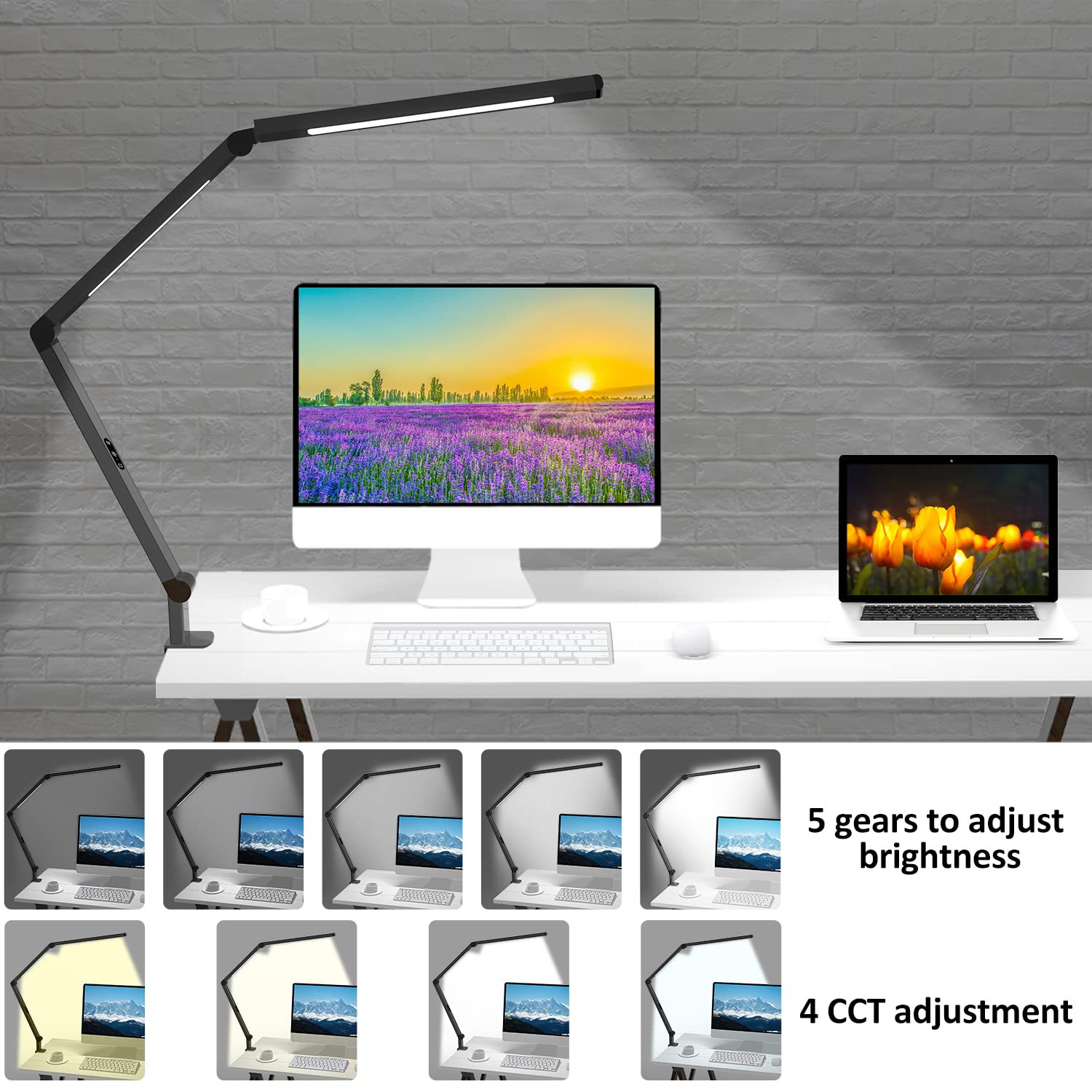 LED Desk Lamp with Clamp, Architect Desk Lamp with Dual Light and Adjustable Swing Arm, Clip-on Eye-Care 4 CCT Modes & 5 Brightness Levels Table Micomlan