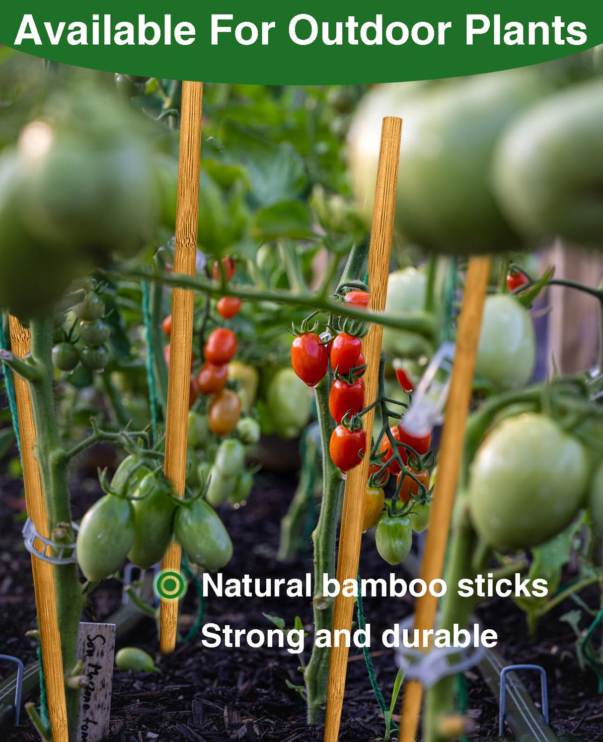 Strong Long Bamboo Plant Stakes for Indoor Plants, 12Pcs Bamboo Sticks for Plants, Plant Sticks Support Tall 18inch, Bamboo Plant Stakes, Garden VIPMORE