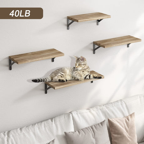 YGEOMER Floating Shelves, Rustic Wood Shelves, 4 Sets of Wall Mounted Shelf for Bathroom Decor, Bedroom, Living Room and Plants (Carbonized Black) YGEOMER
