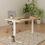 FLEXISPOT E8 Dual Motor 3 Stages Bamboo Electric Standing Desk 60x30 Inch Oval Leg Whole-Piece Board Height Adjustable Desk Electric Stand Up Desk FLEXISPOT
