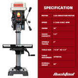 BUCKTOOL 10-Inch Drill Press 6.0 Amp 3/4 HP Bench Drill Press 5-Speed Benchtop Drilling Machine with LED Work Light Bucktool