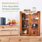 Wall Mount Storage Display Cabinet with Clear Display Doors - 12”x14”x5” Pantry Storage Hanging Cupboard - 3-Level Cover Cabinet with 2 Metal Handles Woodaholic