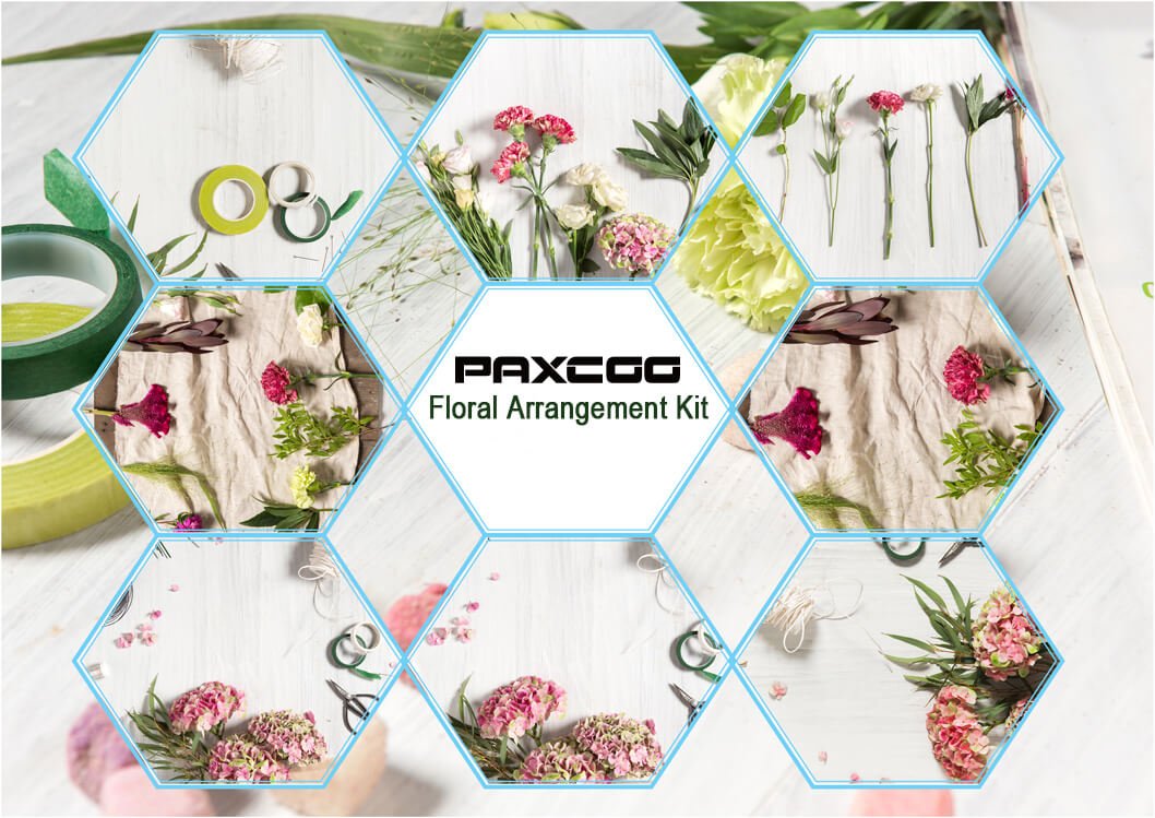 Paxcoo Floral Tape and Floral Wire Arrangement Tools Kit with Wire Cutter 26 Gauge Stem Wire and 22 Gauge Paddle Wire for Bouquet Stem Wrap Florist - WoodArtSupply