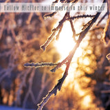 Fragrance Oils, MitFlor Winter Essential Oils for Home Diffusers, Soap & Candle Making Scents, Premium Holiday Aromatherapy Gift Set, 6 x10ml-Winter MitFlor