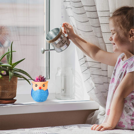 6 Sets DIY Ceramic Owl Succulent Pots Figurines Paint Craft Kit Unpainted Ceramic Bisque Paintable Owl Ceramic Flowerpots with Drainage Hole Ready to Winlyn