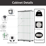 Zacis 4-Tier Lighted Glass Display Cabinet with Lock and Doors for Living Room and Bedroom Zacis