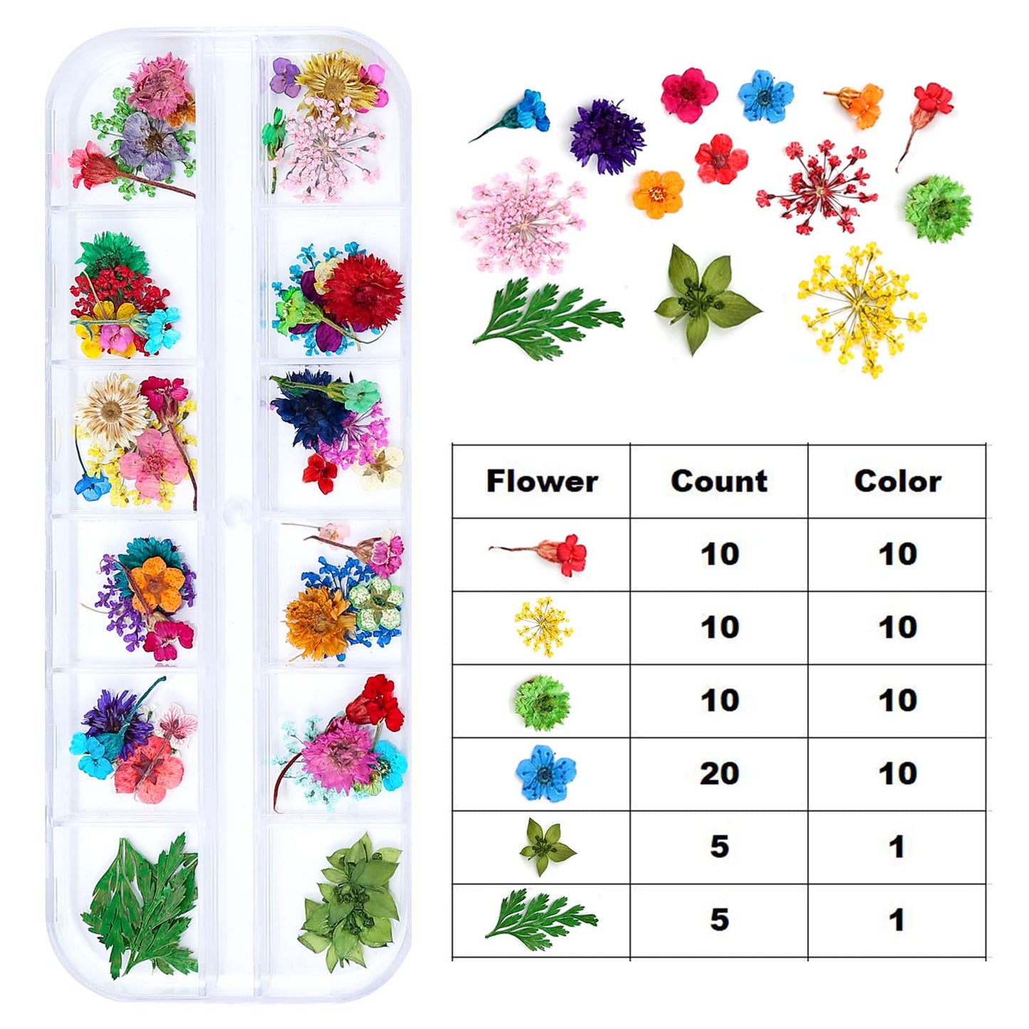 iFancer Dried Flowers for Resin Craft Nail Art Mix Small Mini Dry Flowers (Pack of 6 Boxes, About 260 PCS) - WoodArtSupply