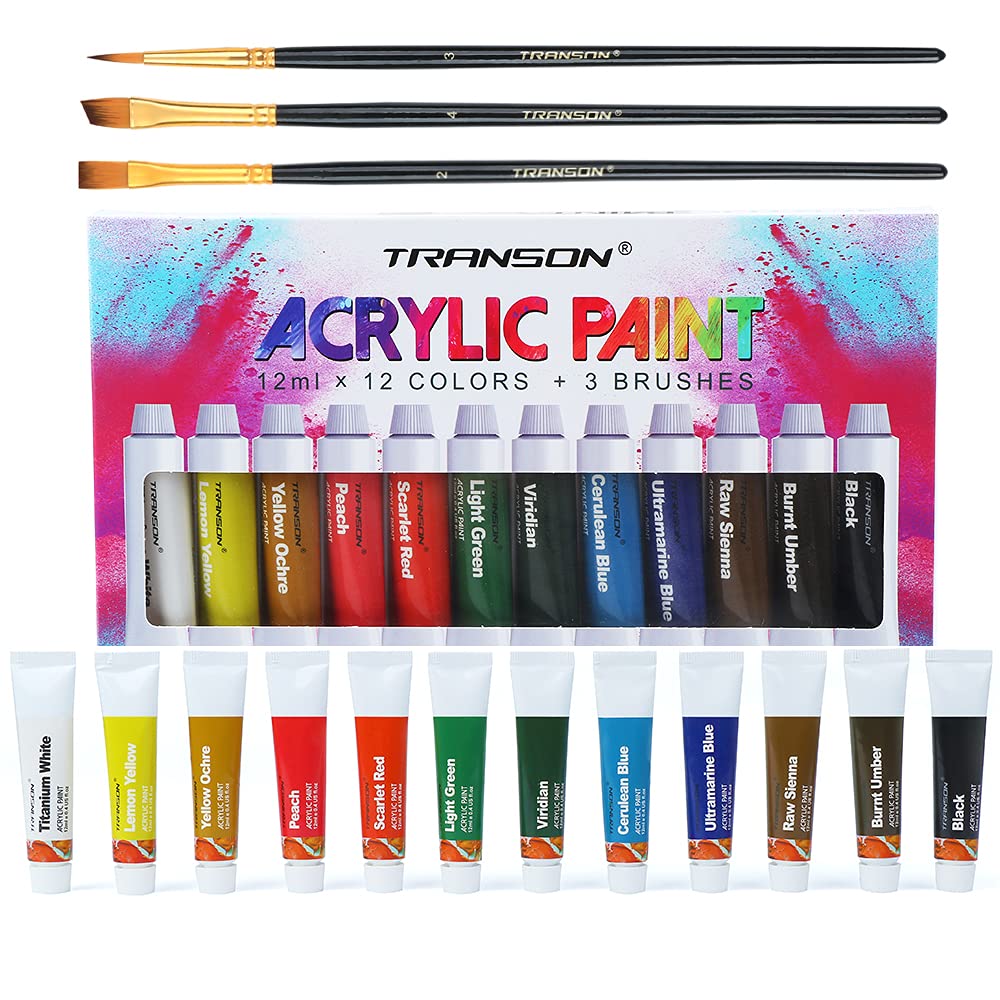 Transon 20pcs Artist Painting Brush Set and Acrylic Paint Set 12-Color with 3 Paint Brushes TRANSON
