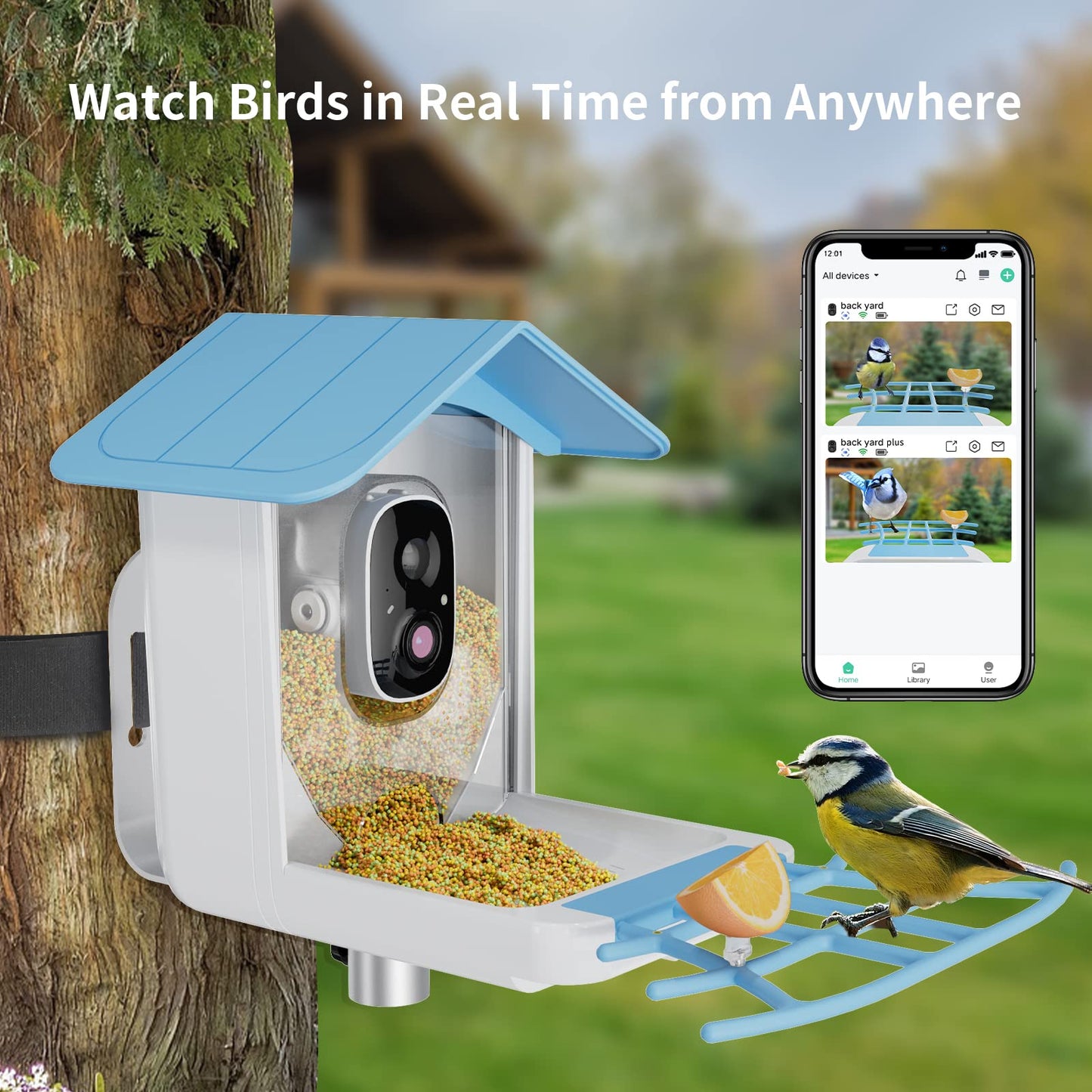 Bird Feeder with Camera,Wireless Outdoor Solar Bird Feeder,AI Identify 10000+Bird Species,Auto Capture Bird Videos & Notify of Birds,1080P Bird