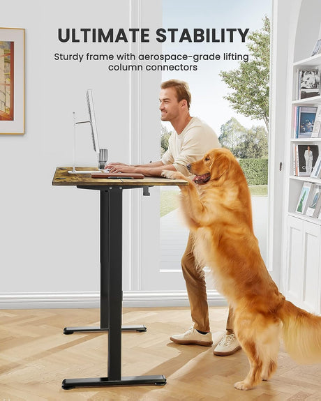 ErGear Height Adjustable Electric Standing Desk, 55 x 28 Inches Sit Stand up Desk, Memory Computer Home Office Desk (Vintage Brown) ErGear