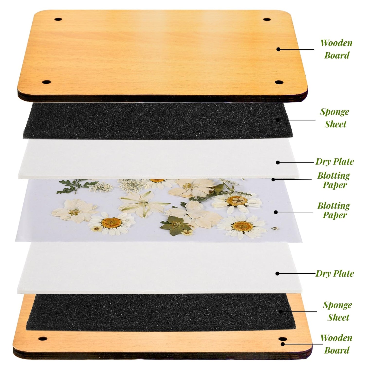 Noamus Flower Press Kit, 7" x 9.5" 6-Layer Wooden Leaves Pressing Kit for Adult, Solid Wood Book Pressed Plant Preservation Kit, DIY Arts Dried Noamus