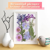 eBoot 72 Pcs Dried Pressed Flowers for Resin Molds Real Pressed Flowers Dry Leaves Bulk Natural Herbs Kit for Scrapbooking DIY Art Crafts Jewelry EBOOT