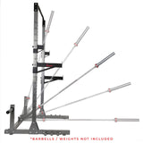 Sunny Health & Fitness Power and Squat Rack with High Weight Capacity, Olympic Weight Plate Storage and 360° Swivel Landmine and Power Band Sunny Health & Fitness