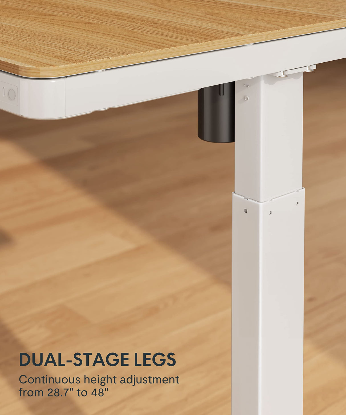 FLEXISPOT 55" Electric Standing Desk with Drawers, Quick Assembly Home Office Sit Stand Desk with Storage, USB Charging, Computer Desk for Home FLEXISPOT