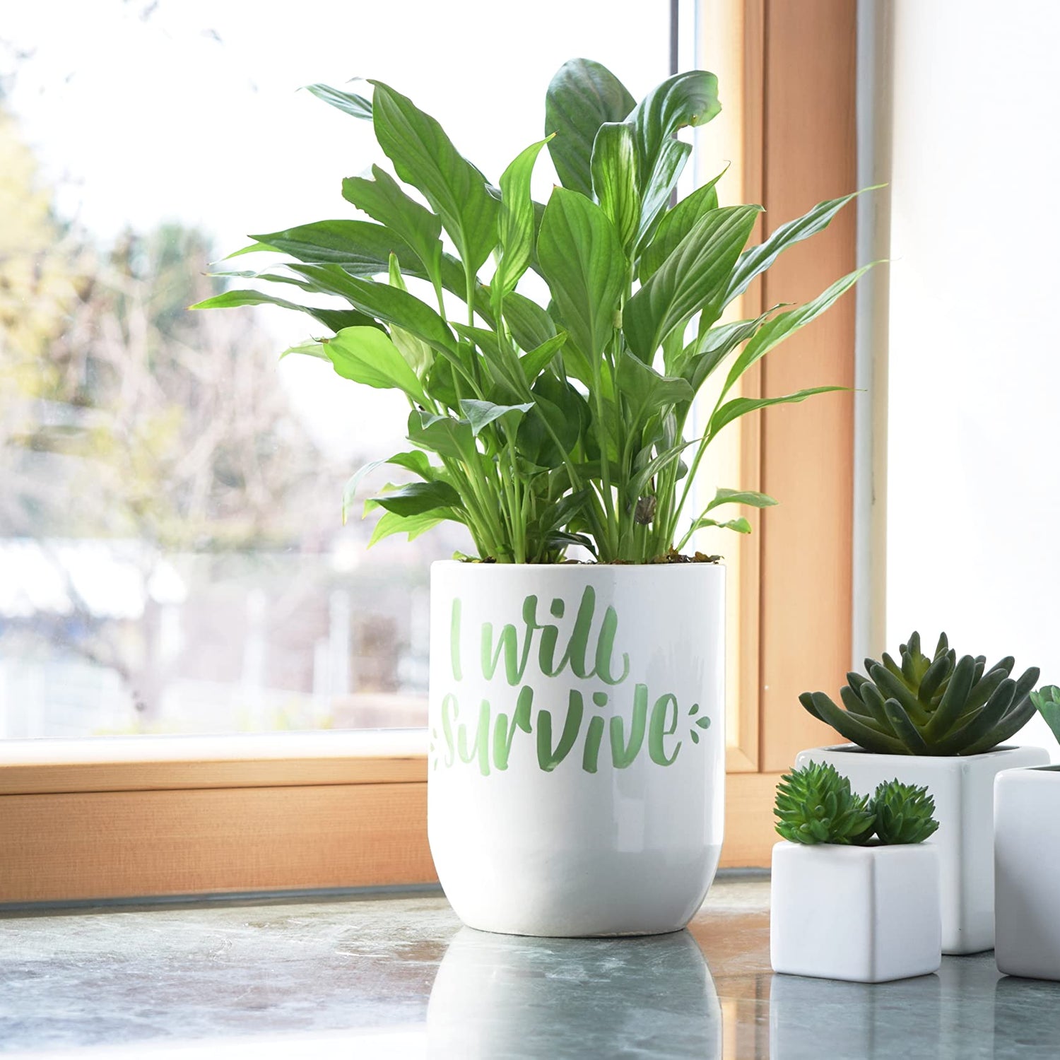 24 Posca Paint Markers, 3M Fine Posca Markers with Reversible Tips, Posca Marker Set of Acrylic Paint Pens | Posca Pens for Art Supplies, Fabric Uni Posca