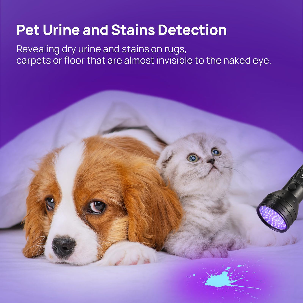 UV Flashlight Black Light, Consciot 51 LED 395nm Ultraviolet Blacklight, Portable Torch Light Pet Urine Detector for Dog/Cat Urine, Dry Stains, Bed Consciot