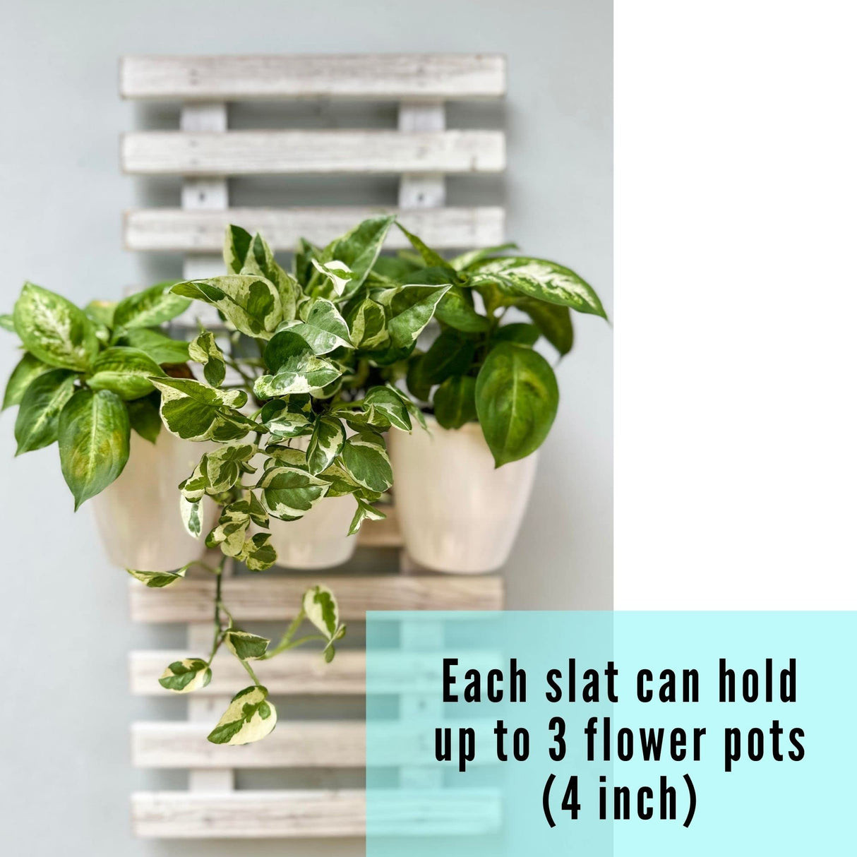 ShopLaLa Wooden Wall Planter - 2 Pack Wall Hanging Planters for Outdoor Plants Rustic White Wall Mounted Wood Ladder for Flower Pots Holder Vertical ShopLaLa