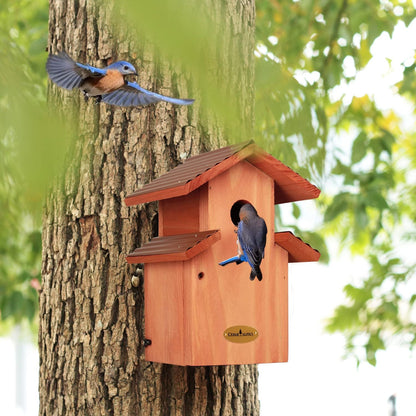 Cedar Comfy Mansion Bluebird House, Rustic Proof Nestbox, Water Proof, Outdoor Lifetime Durability Solid Cedar Wood Bird House, Secure Latch, Vintage