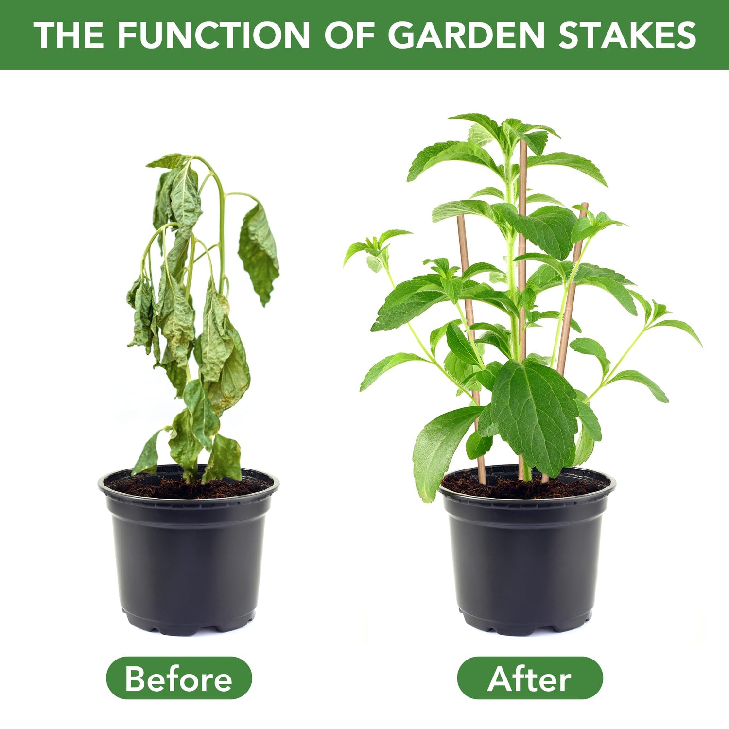 SWANGSA 40 Pack 4 Feet Bamboo Stakes for Plant, Bamboo Sticks Plant Support Garden Stakes Poles with 200pcs Twist Ties for Tomatoes, Beans, Flowers, SWANGSA