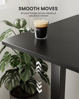 ErGear Height Adjustable Electric Standing Desk, 48 x 24 Inches Sit Stand up Desk, Memory Computer Home Office Desk (Black) ErGear