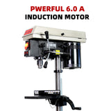 BUCKTOOL 10-Inch Drill Press 6.0 Amp 3/4 HP Bench Drill Press 5-Speed Benchtop Drilling Machine with LED Work Light Bucktool