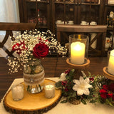 Wilson 4 Pack Basswood Round Rustic Wood Slice, Sanded Side, 9-12" Diameter, Excellent for Wedding Centerpiece, DIY Woodland Projects, Table Wilson