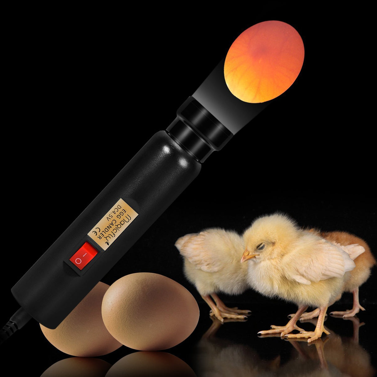 Magicfly Bright Cool LED Light Egg Candler Tester, Power by Power Supply Only Magicfly