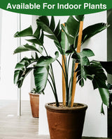 Strong Long Bamboo Plant Stakes for Indoor Plants, 12Pcs Bamboo Sticks for Plants, Plant Sticks Support Tall 18inch, Bamboo Plant Stakes, Garden VIPMORE