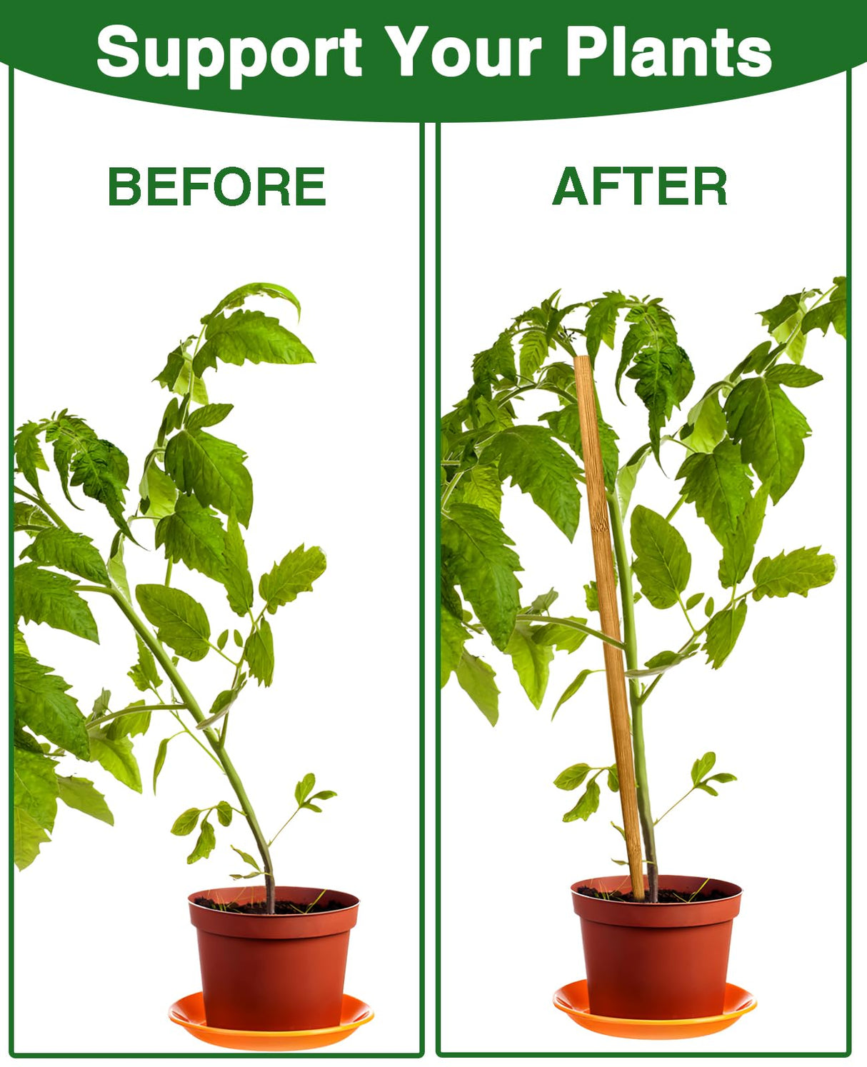 Strong Long Bamboo Plant Stakes for Indoor Plants, 12Pcs Bamboo Sticks for Plants, Plant Sticks Support Tall 18inch, Bamboo Plant Stakes, Garden VIPMORE