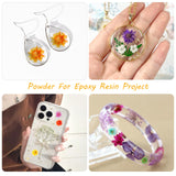MIDELONG 200 PCS Small Dried Flowers for Crafts Resin, Colorful Dried Flowers for Nails, Natural Real Tiny Dried Pressed Flowers for Jewelry Earrings MIDELONG