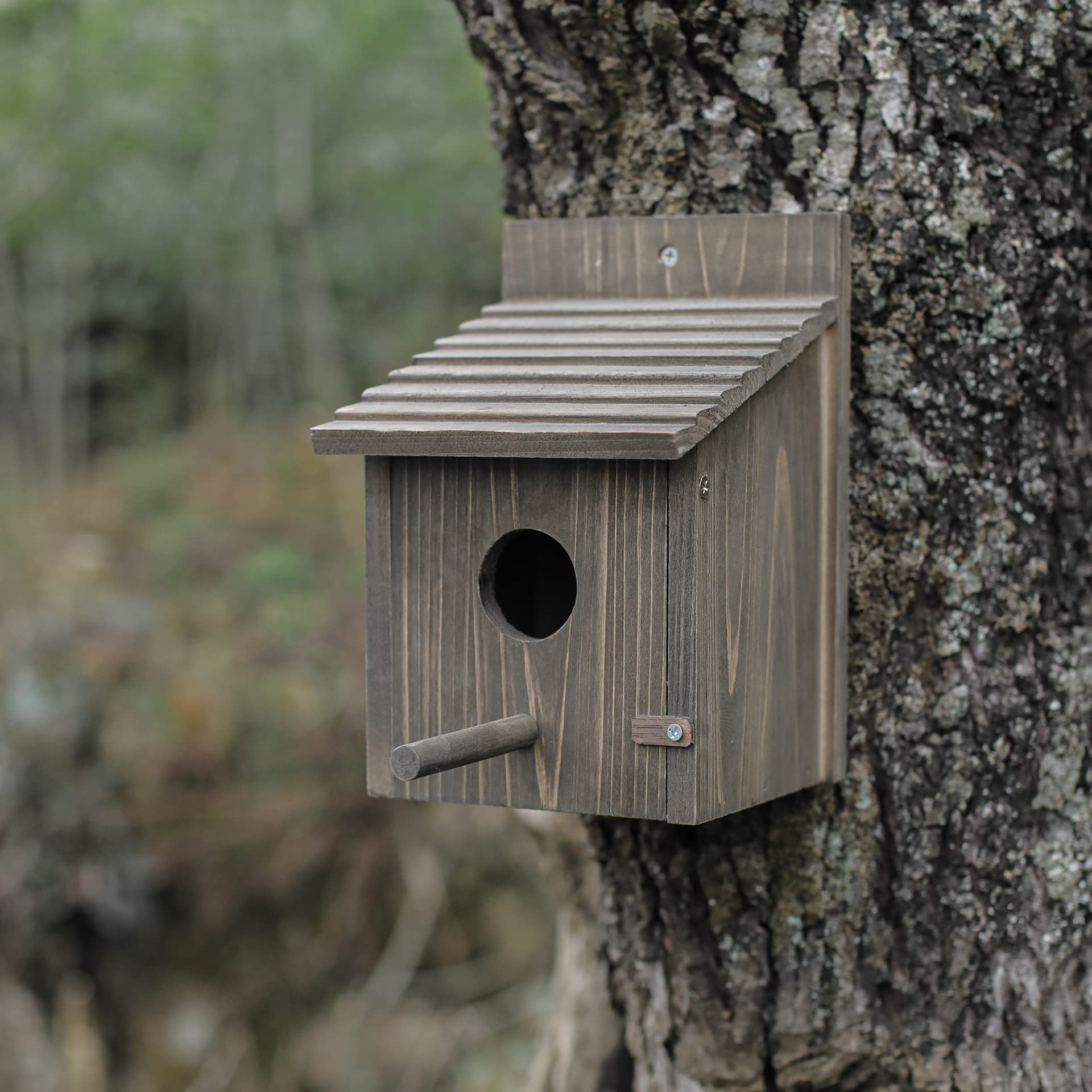 NATUREYLWL Wooden Bird House Wood Bird House for Outside with Pole for Finch, Bluebird, Cardinals, Hanging Birdhouse Garden Country Cottages - WoodArtSupply