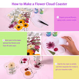 A5 Large Bulk Christmas Dried Pressed Flowers for Christmas Decor, Real Dry Natural Flower Leaf Daisy for Resin Mold, Cake Decor, Phone Cases ( ZMRU