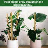 Strong Long Bamboo Plant Stakes for Indoor Plants, 12Pcs Bamboo Sticks for Plants, Plant Sticks Support Tall 18inch, Bamboo Plant Stakes, Garden VIPMORE