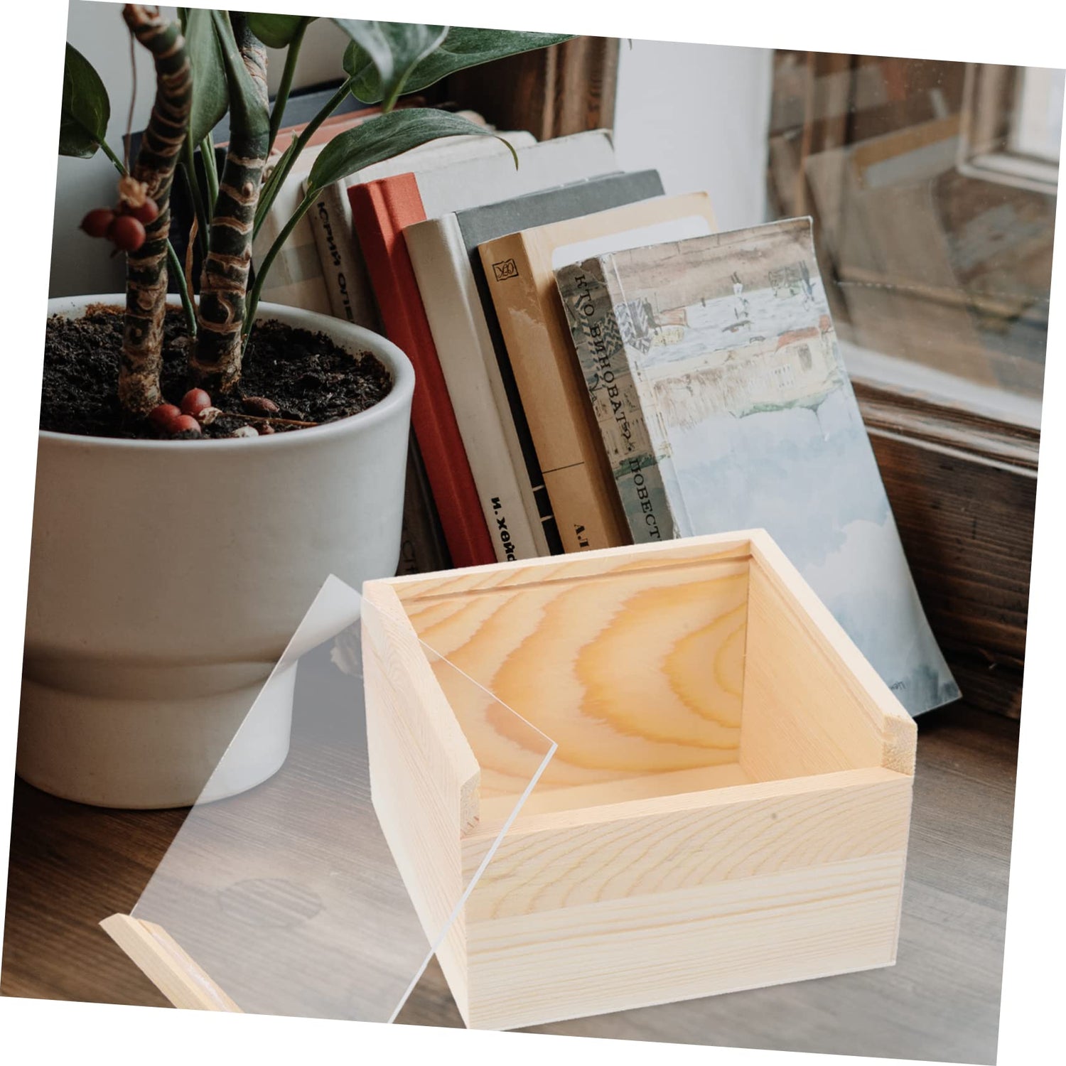 NOLITOY Box Storage Wooden Box Earring Desk Topper Tip Jar Desk Tray Party Gifts Supplies Wooden Tea Organizer Wooden Crates Unfinished Wooden Tray NOLITOY