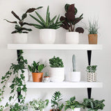 20 Pack Black Shelf Brackets 10 inch, Heavy Duty DIY Floating Wood Shelf Bracket Decorative Rustic L Bracket, J Brackets Metal Joint Angle Bracket Jorohiker