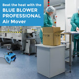 BLUE BLOWER PROFESSIONAL 300 CFM High Velocity Air Mover, Carpet Dryer, and Floor Fan. for Water Damage Restoration, Cooling, and Drying. BLUE BLOWER PROFESSIONAL